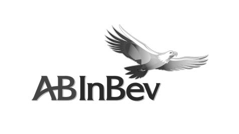 Synthetis - Référence - ABInBev